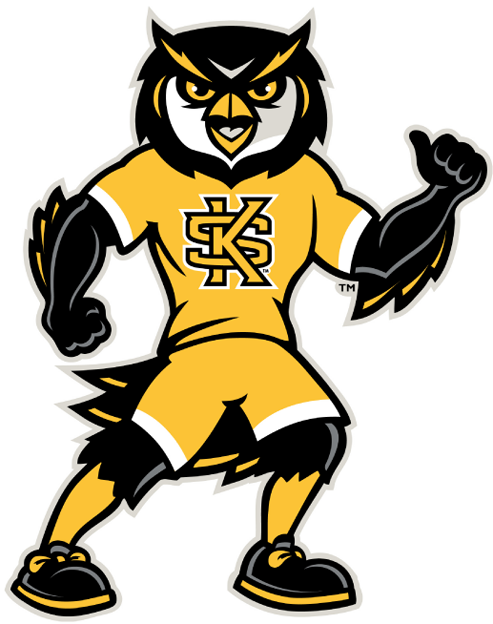 Kennesaw State Owls 2012-Pres Mascot Logo iron on transfers for fabric